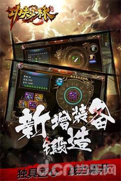 功夫少林安卓版 2