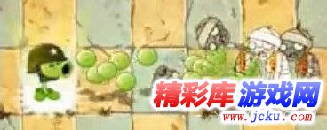 植物大战僵尸2全植物图文介绍 2