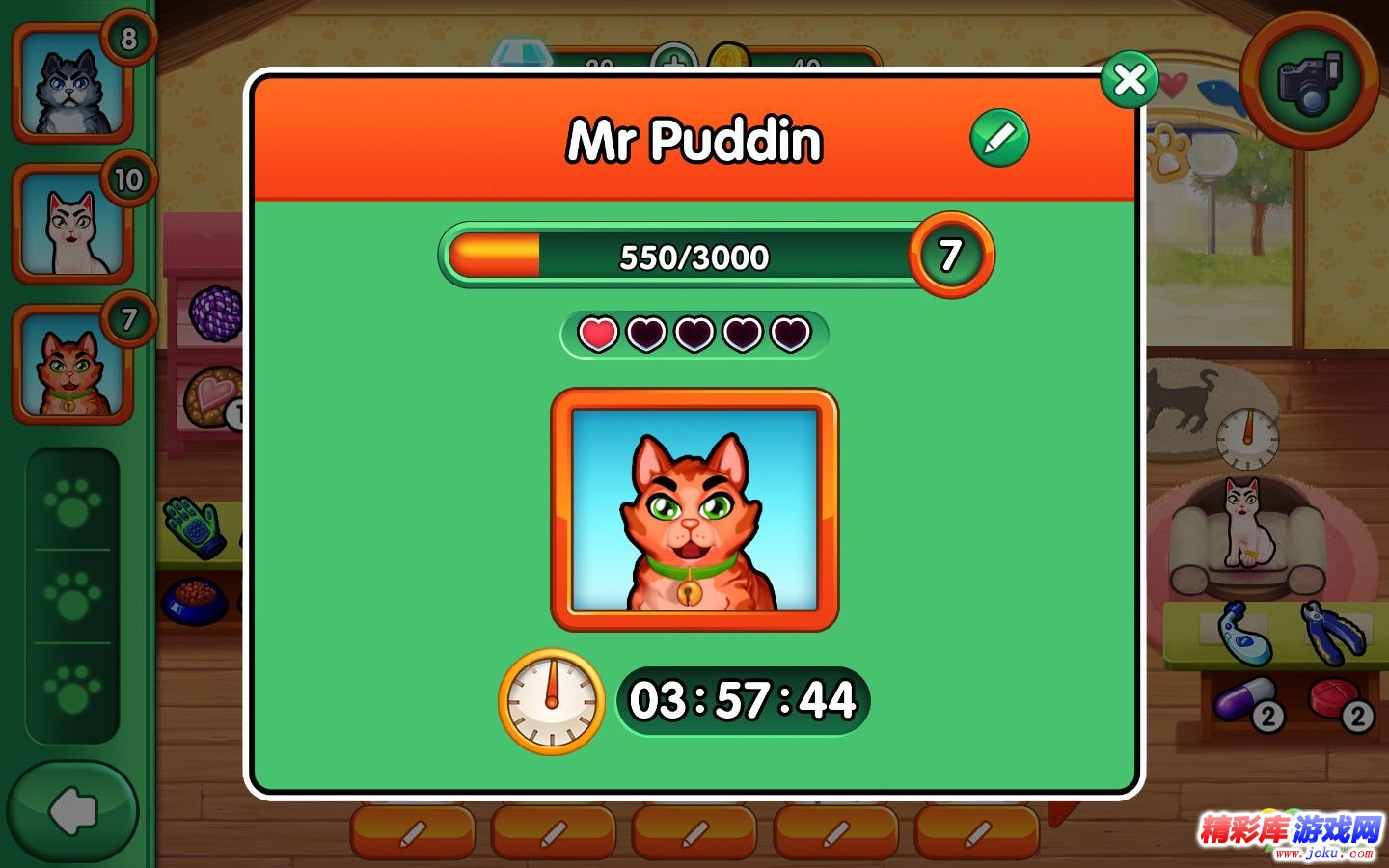 凯尔丝医生:艾米的宠物诊所中文版 